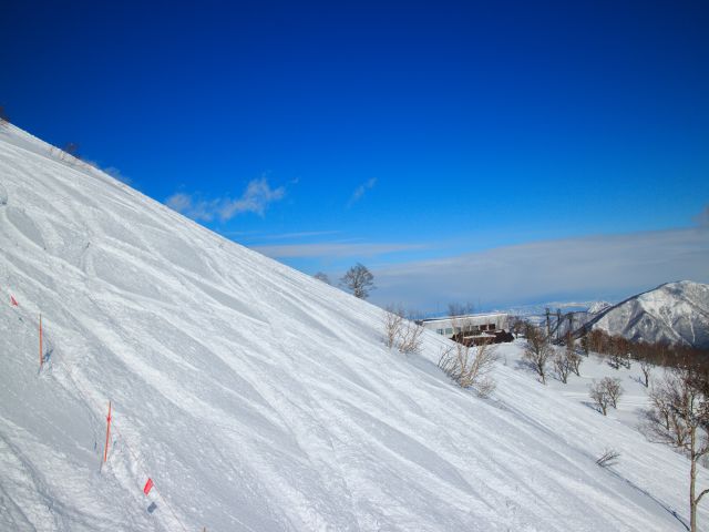 冬の楽しみ！スキー場選びのポイントをご紹介します